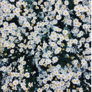 Meet your Posher, Natalia